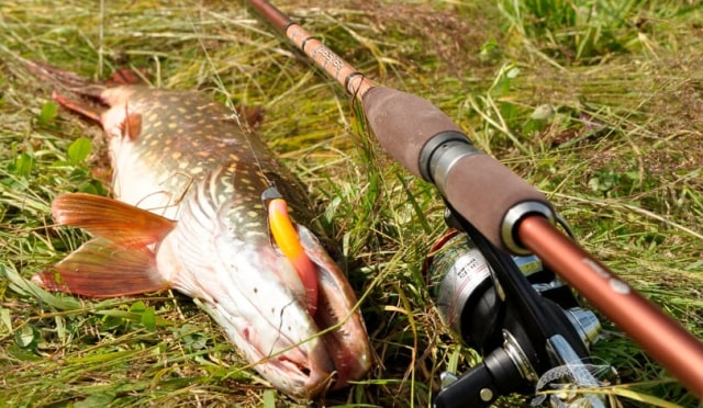 Какой спиннинг выбрать новичку - фото3