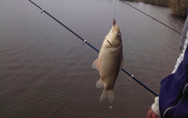 Рыболовные крючки: виды, назначение, как выбрать - фото4 Рыболовные крючки: виды, назначение, как выбрать - фото4