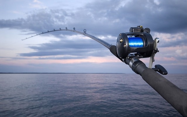 Удилище для спиннинга: виды, особенности, как выбрать - фото2