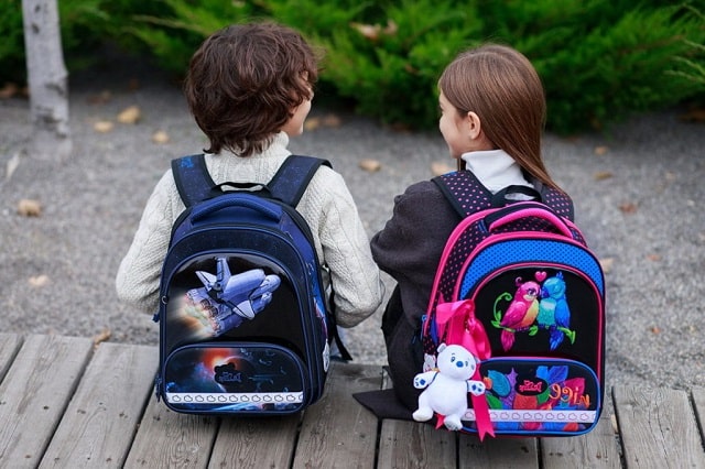 Рюкзак для школьника: виды, какой лучше выбрать - фото1 Рюкзак для школьника: виды, какой лучше выбрать - фото1