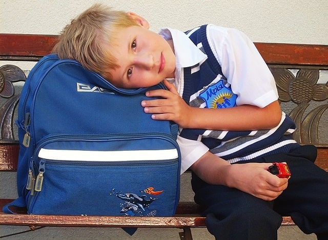 Рюкзак для школьника: виды, какой лучше выбрать - фото3 Рюкзак для школьника: виды, какой лучше выбрать - фото3
