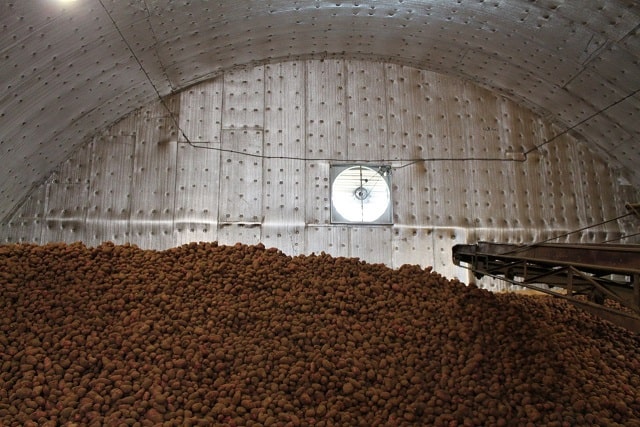 Овощехранилище: что это такое и как работает - фото2