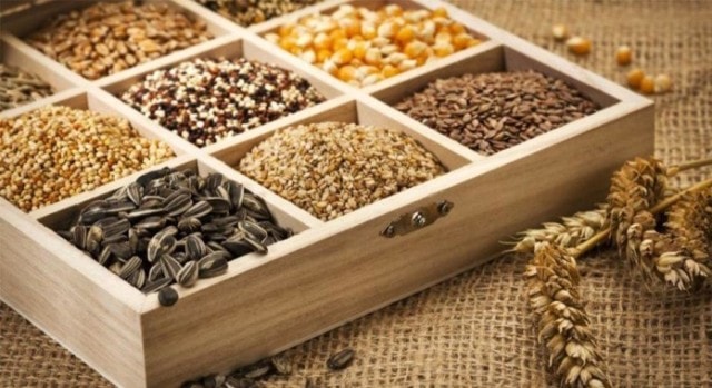 Протравители семян: виды, применение, как выбрать - фото1