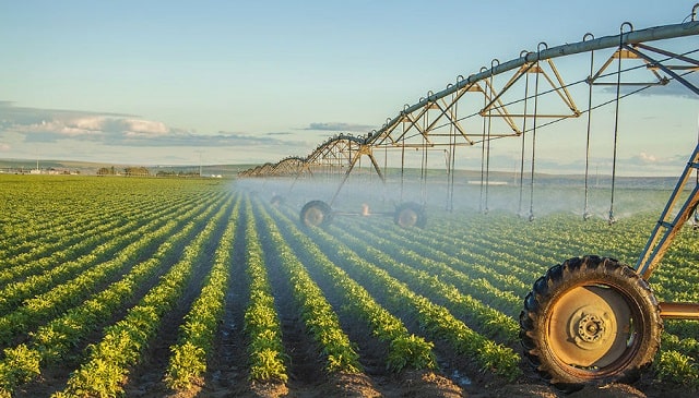 Сельское хозяйство в Украине: структура и особенности, коротко о главном - фото2 Сельское хозяйство в Украине: структура и особенности, коротко о главном - фото2