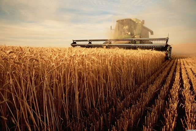 ​​Цифровая революция на поле: как украинские аграрии выходят в сеть - фото2