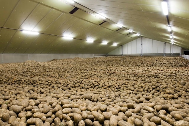 ​​Цифровая революция на поле: как украинские аграрии выходят в сеть - фото4