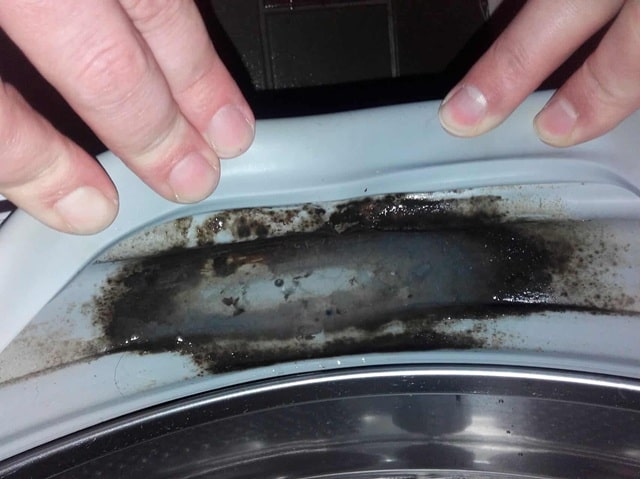 Неприятный запах и плесень на манжете стиральной машины: причины, очистка в домашних условиях, профилактика - фото2 Неприятный запах и плесень на манжете стиральной машины: причины, очистка в домашних условиях, профилактика - фото2