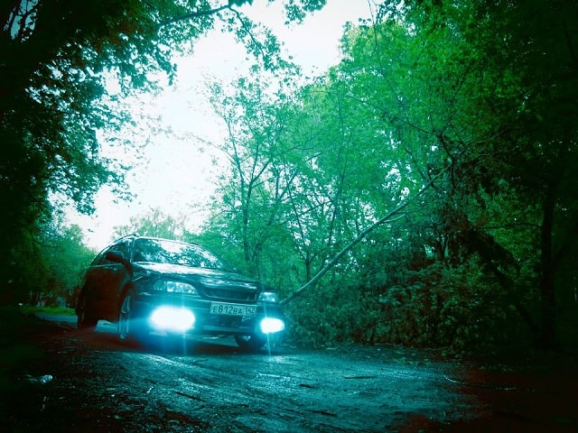 Противотуманные фары: виды и особенности, как выбрать - фото1 Противотуманные фары: виды и особенности, как выбрать - фото1