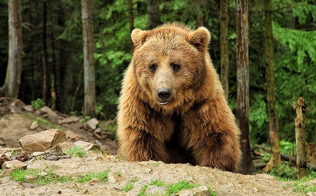 Чем знаменито Закарпатье: что посмотреть, куда съездить - фото6 Чем знаменито Закарпатье: что посмотреть, куда съездить - фото6