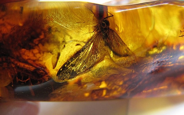 Янтарь: объяснение востребованности на современном рынке, особенности формирования цены - фото2