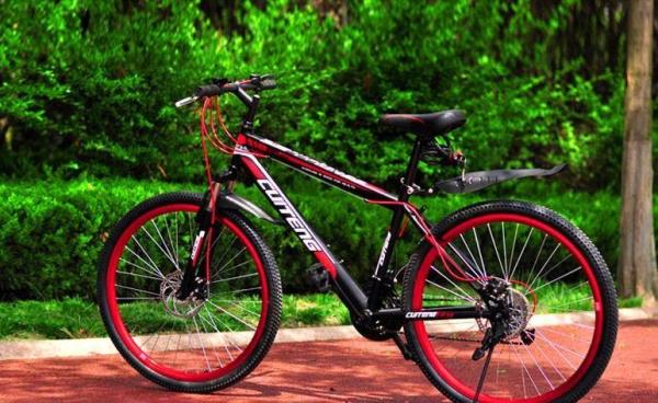 Какой велосипед выбрать взрослому для города и бездорожья: обзор, советы - фото4 Какой велосипед выбрать взрослому для города и бездорожья: обзор, советы - фото4