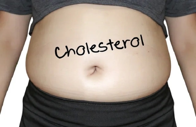 Гиперлипидемия: что это такое, причины, симптомы, профилактика - фото2