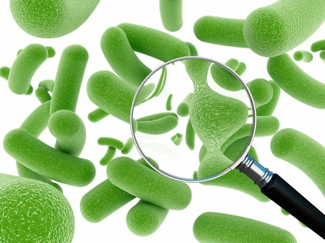 Синбіотик: що це таке, особливості, відмінності від пробіотика - фото3