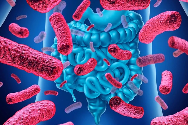 Синбіотик: що це таке, особливості, відмінності від пробіотика - фото4