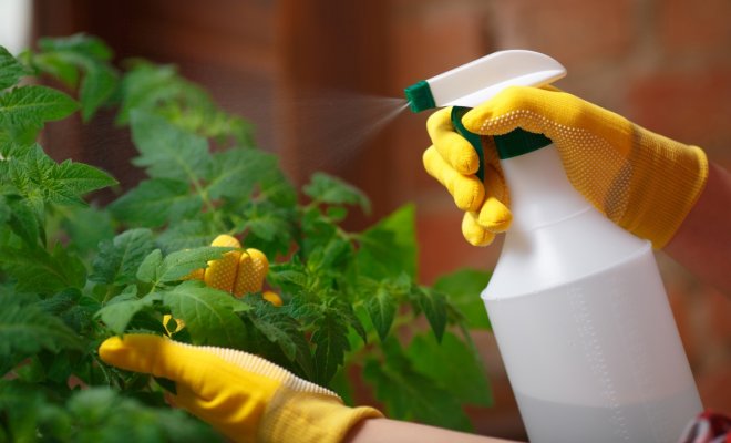 Инсектицид Калипсо: назначение, применение, инструкция - фото1