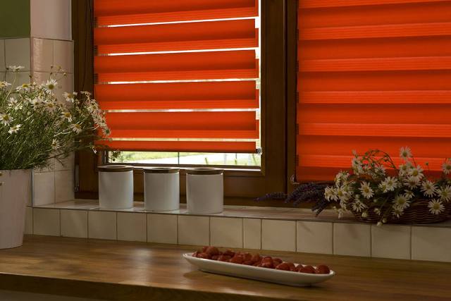 Жалюзи День-Ночь на пластиковые окна (обзор, идеи) - фото6