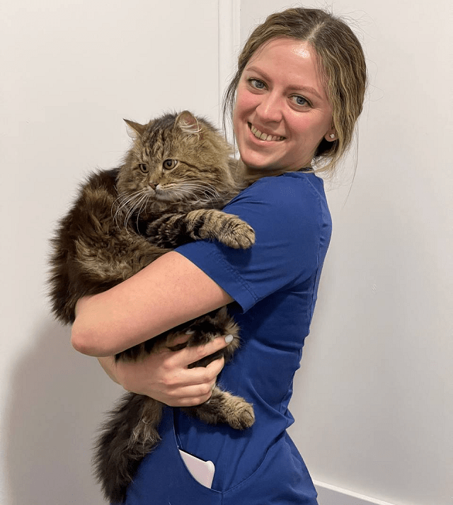 Алергія у домашніх тварин - фото1 Алергія у домашніх тварин - фото1