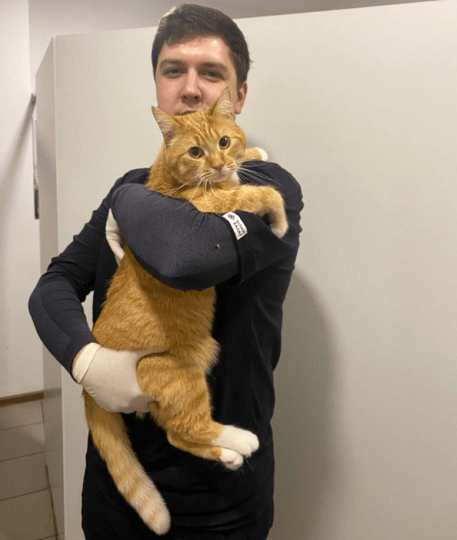 Алергія у домашніх тварин - фото2 Алергія у домашніх тварин - фото2