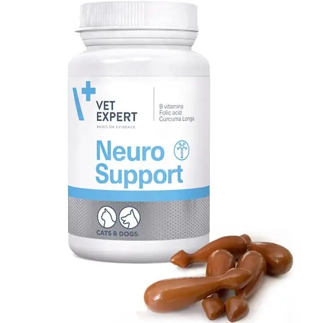 Как защитить вашего четырехлапого друга от беспокойства и депрессии - фото Как защитить вашего четырехлапого друга от беспокойства и депрессии - фото