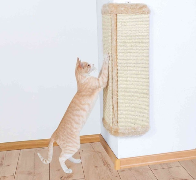 Когтеточка для кошек: почему она важна, виды и как выбрать - фото3