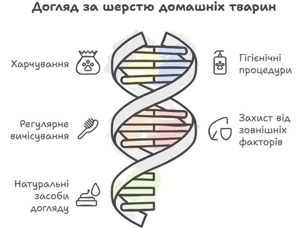 Секрети догляду за шерстю тварин у різні пори року - фото