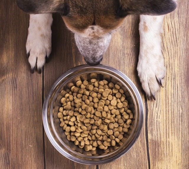 Сухой корм для собак: виды и особенности, как выбрать - фото2