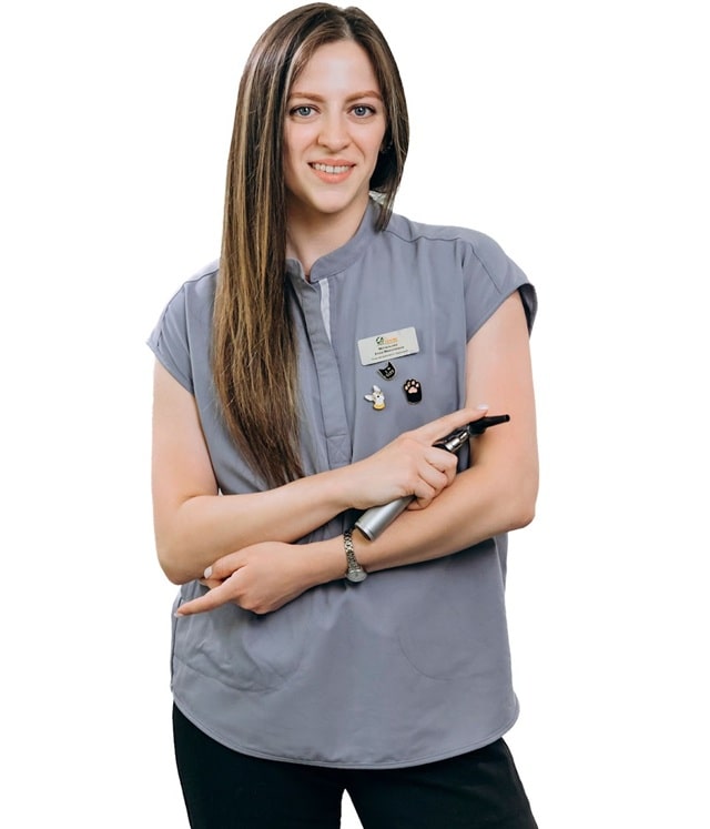 Свербіж вух у собак — завітайте до ветеринара-дерматолога - фото2 Свербіж вух у собак — завітайте до ветеринара-дерматолога - фото2