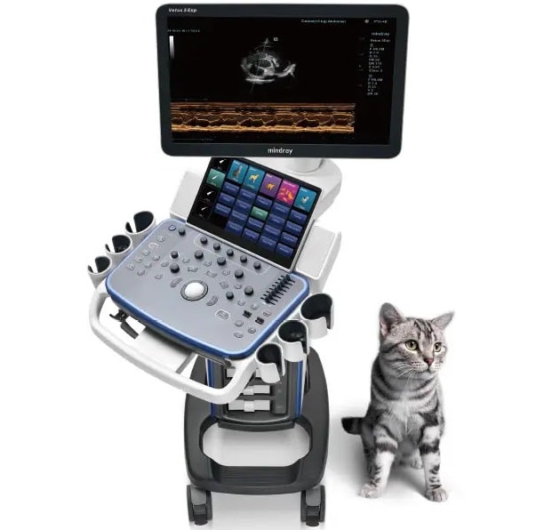 УЗД і МРТ обладнання для ветеринарії - фото1