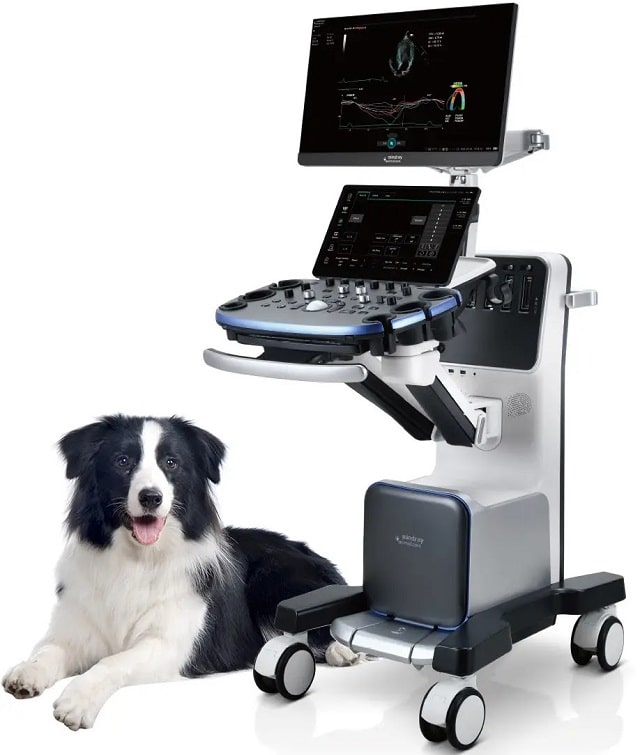 УЗД і МРТ обладнання для ветеринарії - фото2