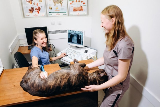 Ветеринарная клиника в Харькове