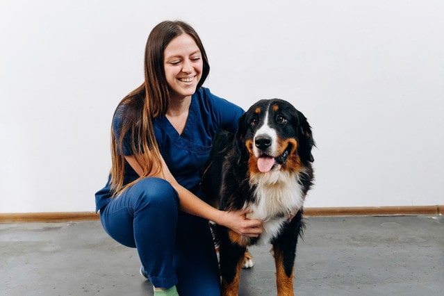 Консультация ветеринара