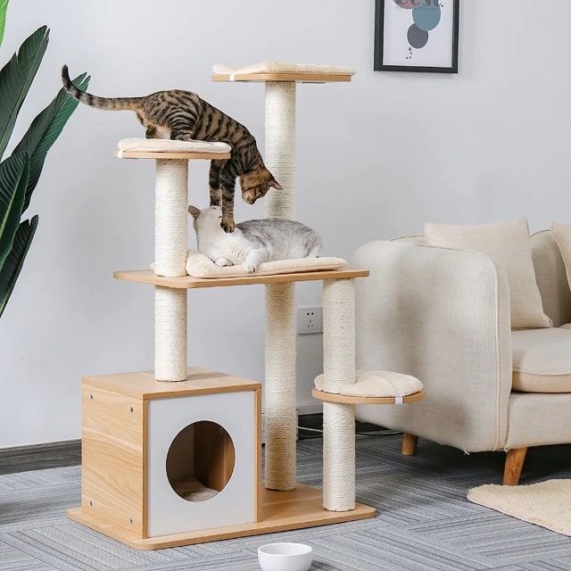 Выбираем домик для кота: виды, особенности, плюсы и минусы - фото1