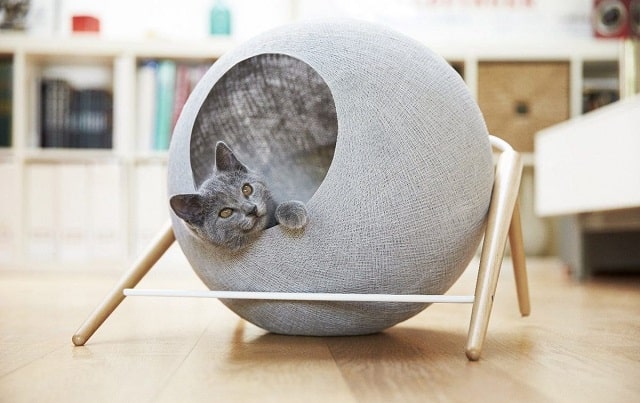 Выбираем домик для кота: виды, особенности, плюсы и минусы - фото2