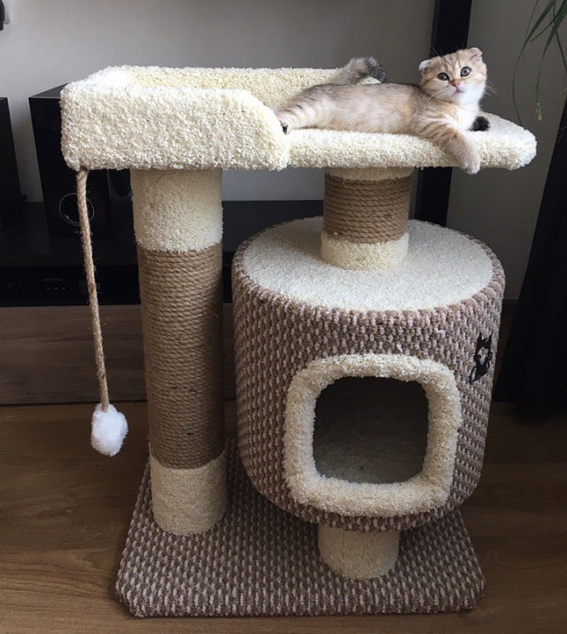 Выбираем домик для кота: виды, особенности, плюсы и минусы - фото4