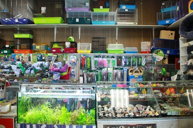 Зоомагазин как бизнес: выгодно ли это, плюсы и минусы - фото1