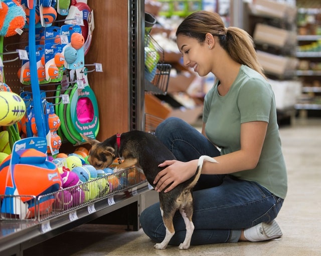 Зоомагазин как бизнес: выгодно ли это, плюсы и минусы - фото3