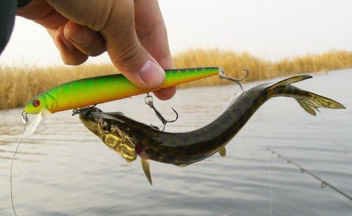 Какая блесна лучше для ловли щуки - фото 5