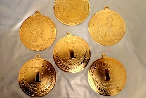 Как делают медали для соревнований? - фото 5