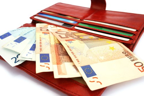 Какой кошелек купить, чтобы деньги водились? (цвет, по фен шуй) - фото 6