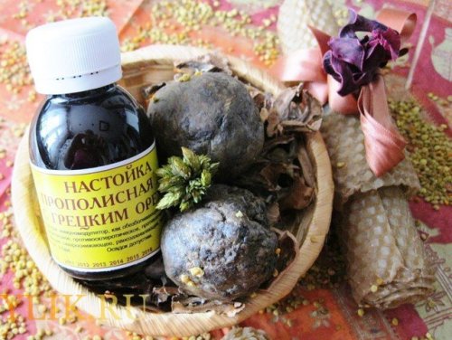 Прополис с молоком: что это такое, применение, отзывы - фото 4