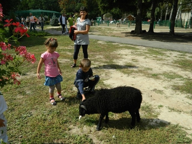 Дети с проблемами зрения посетили контактный зоопарк в Экопарке