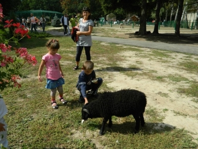 Дети с проблемами зрения посетили контактный зоопарк в Экопарке
