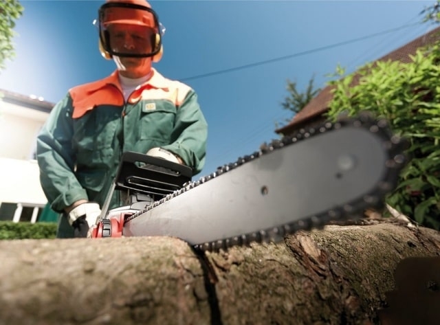 Бензопила или электропила: что лучше и надежнее