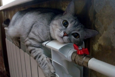 Стартовал отопительный сезон