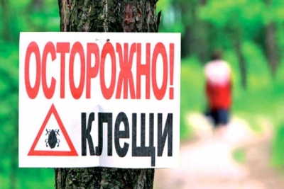 Харьковчан атакуют паразиты