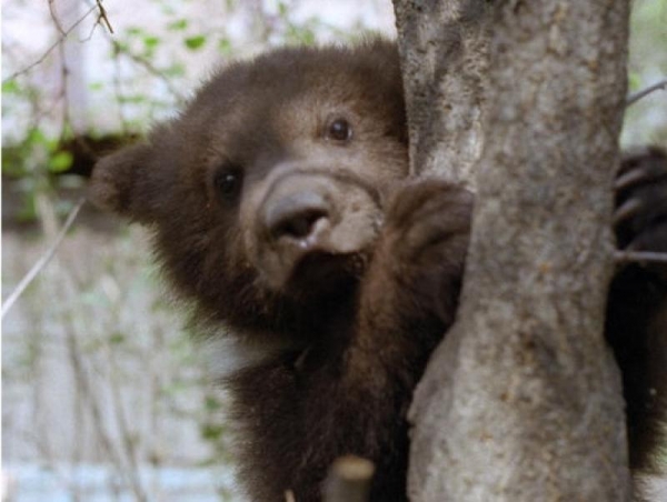 В харьковском зоопарке пополнение