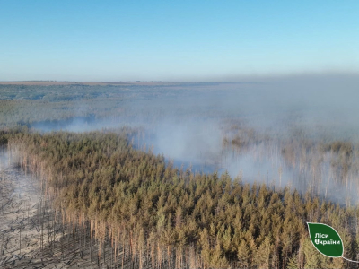 В Савинском лесничестве горел заминированный лес - пожар признали чрезвычайной ситуацией