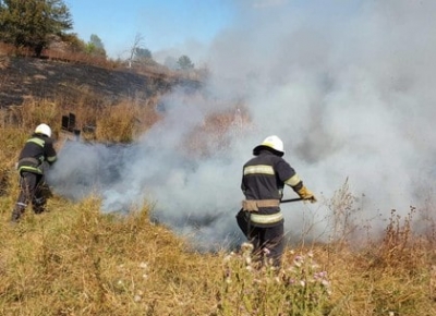 Пожар в Валковском районе – лесополосу удалось спасти