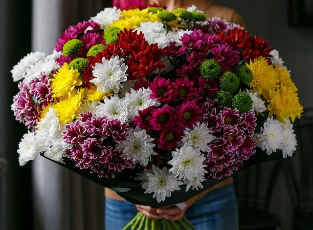 Когда дарят хризантемы: что это значит