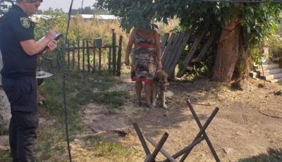 В Дергачевском районе от сторожевой собаки пострадала маленькая девочка